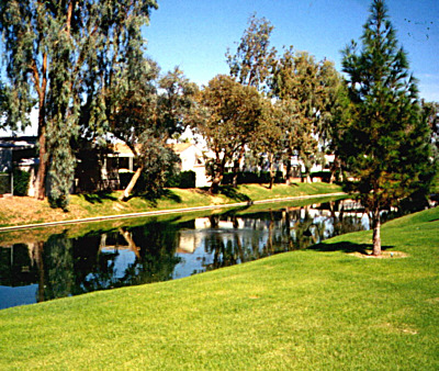 Verde Shores Estates Photo Gallery, waterfront Senior community on the Colorado River in Needles California